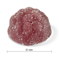 31000101 Jamieson Probiotic Immune Gummy Elderberry Flavour 70 Gummies 10000_R2064_ProbioticImmune_ElderberryGummie_PIL_21mm_CONTENTS